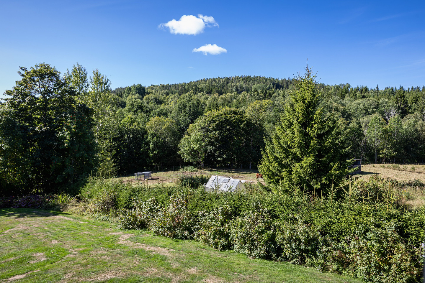 Åmot Mellan 1 – bild 46