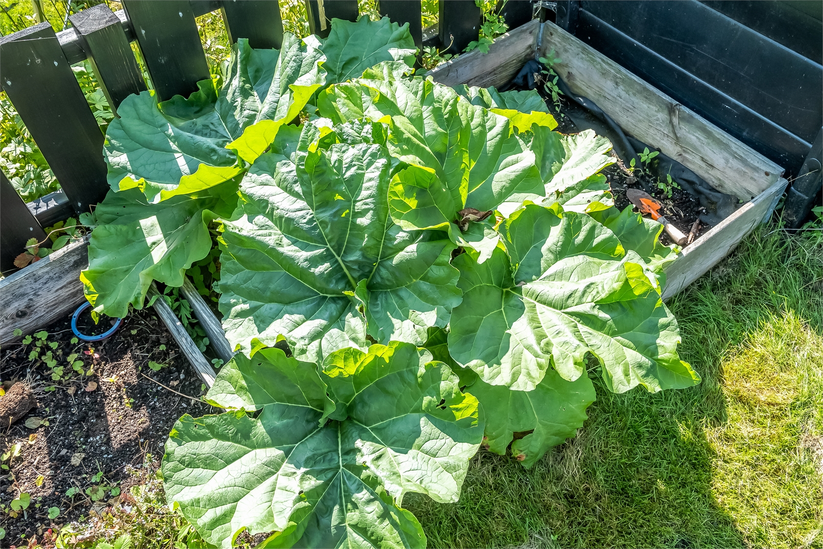 Floravägen 17A – bild 42