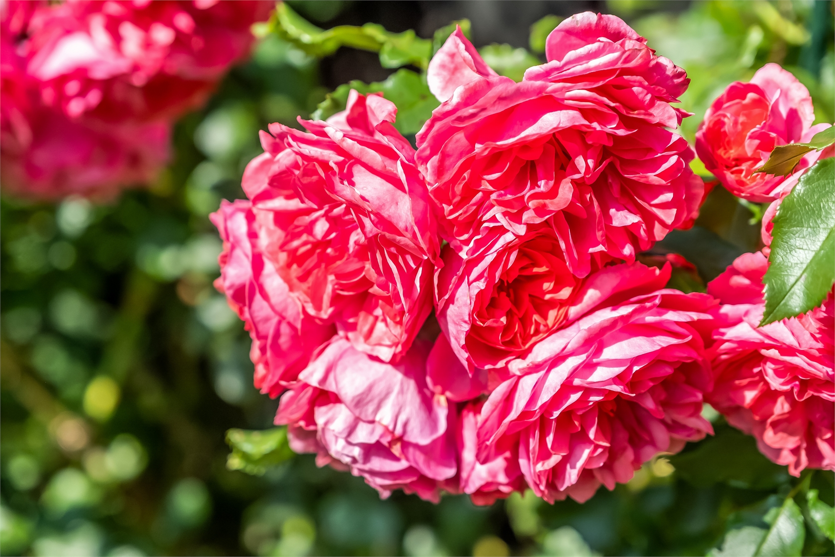 Floravägen 17A – bild 41