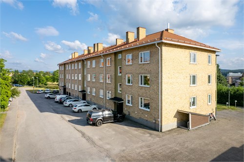 532768-420-1_024.jpg