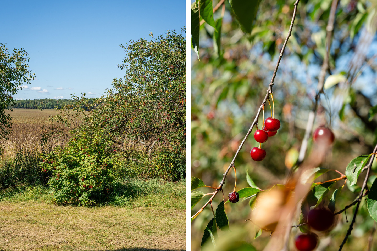 Kvaldersrud Solhaga – bild 36