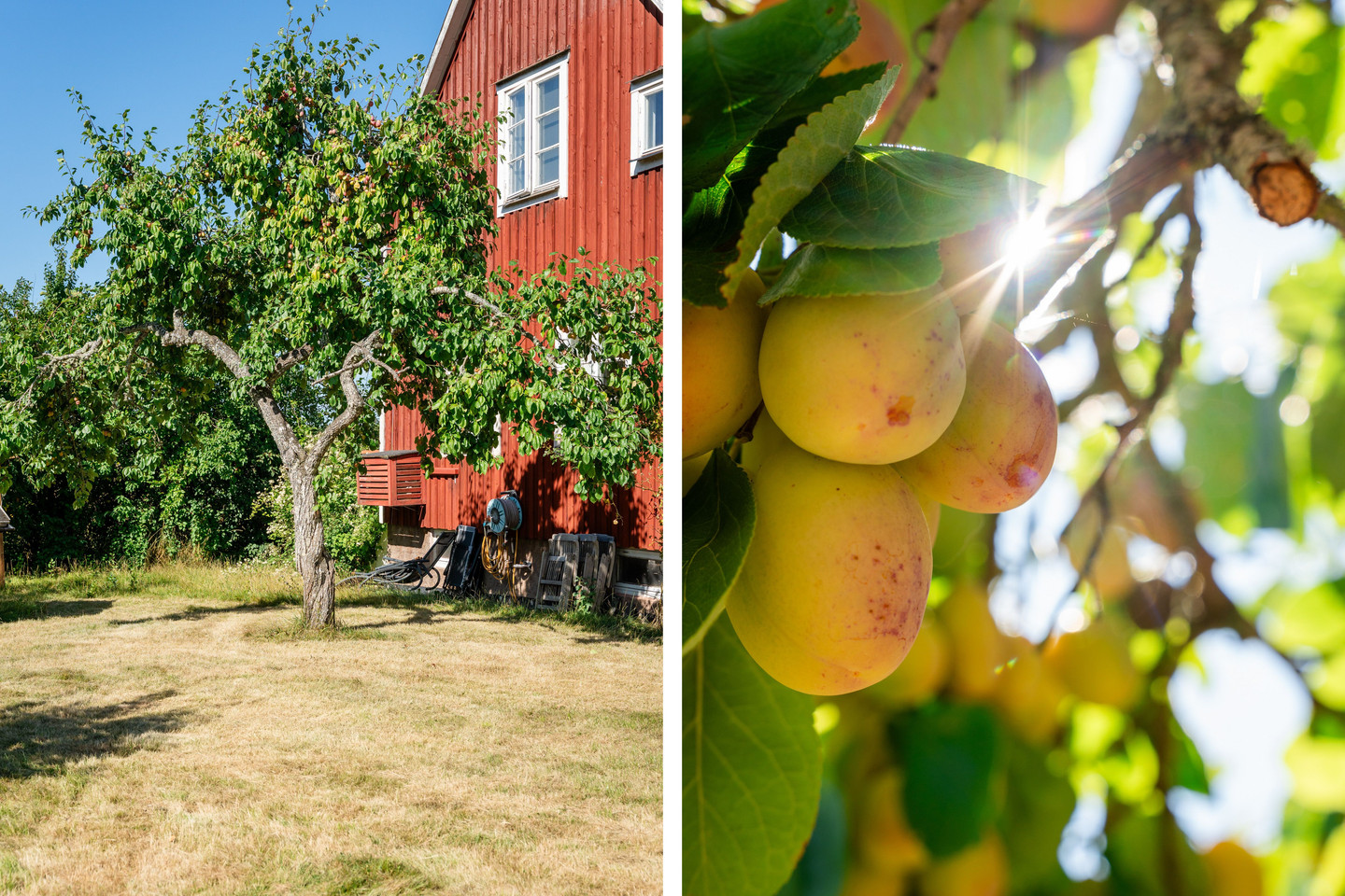 Kvaldersrud Solhaga – bild 39
