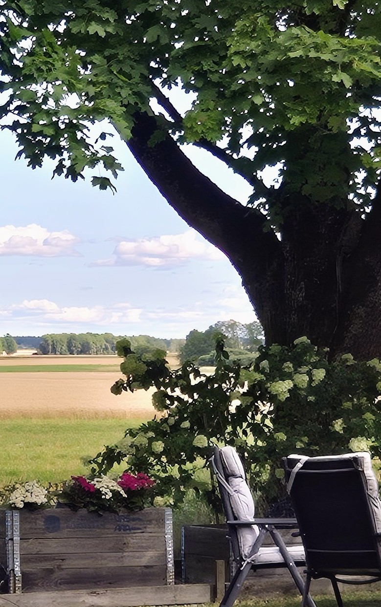 Glysbyn Ljungby 1 – bild 35