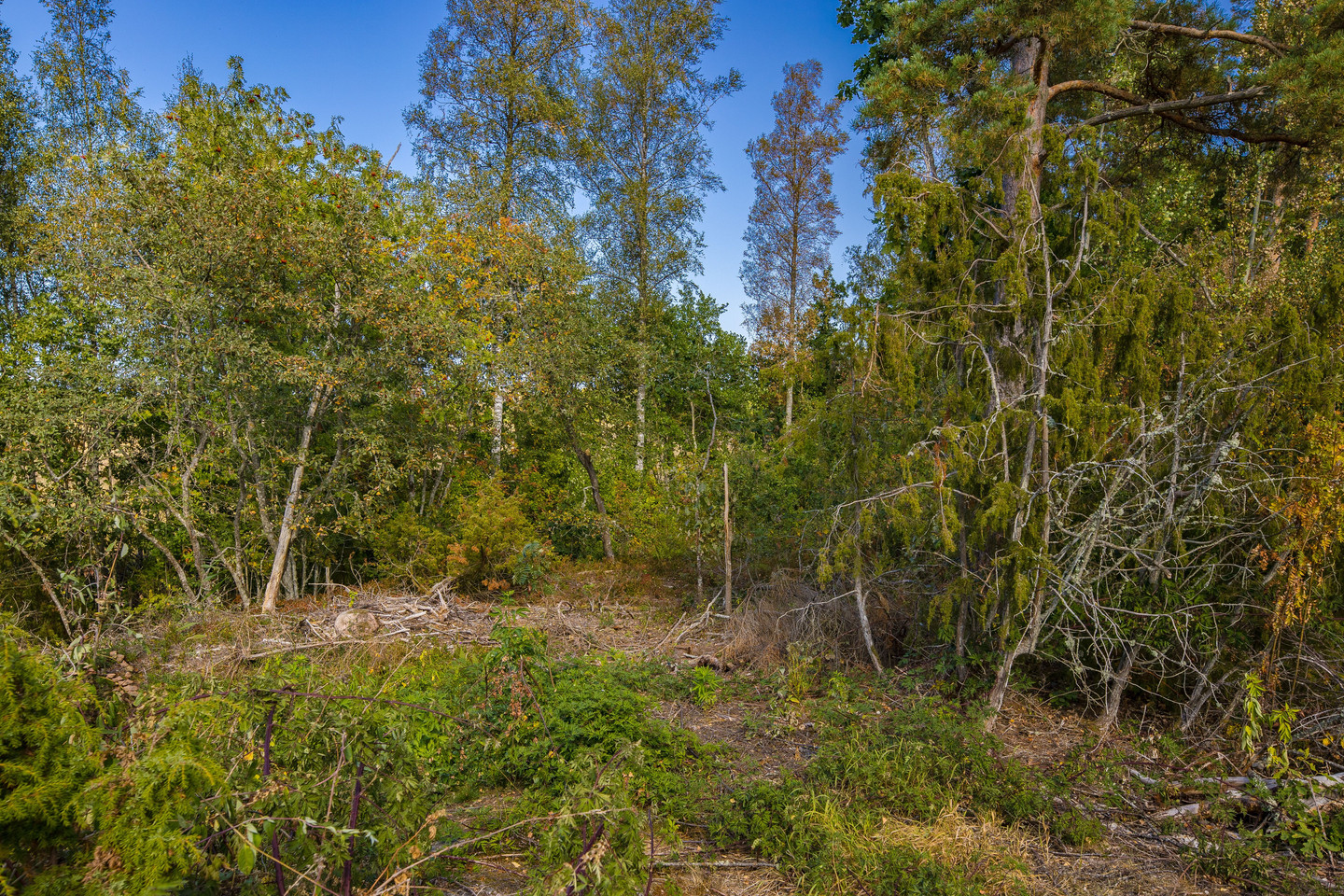 Marbogården Norra Kedum tomt 25 Gullvivan – bild 3
