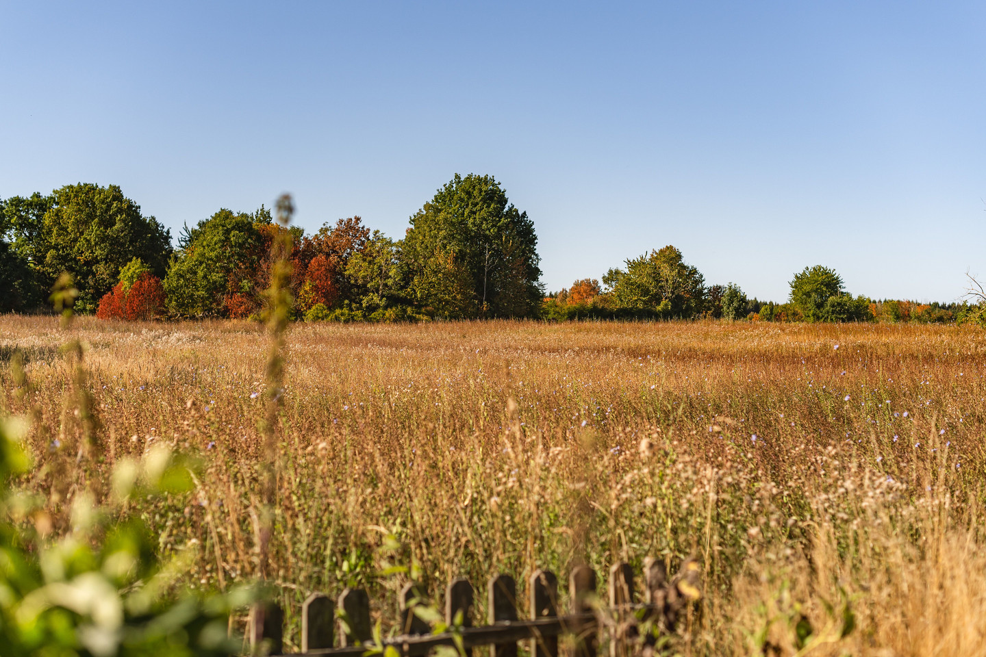Kålstad Nyborg 1 – bild 2