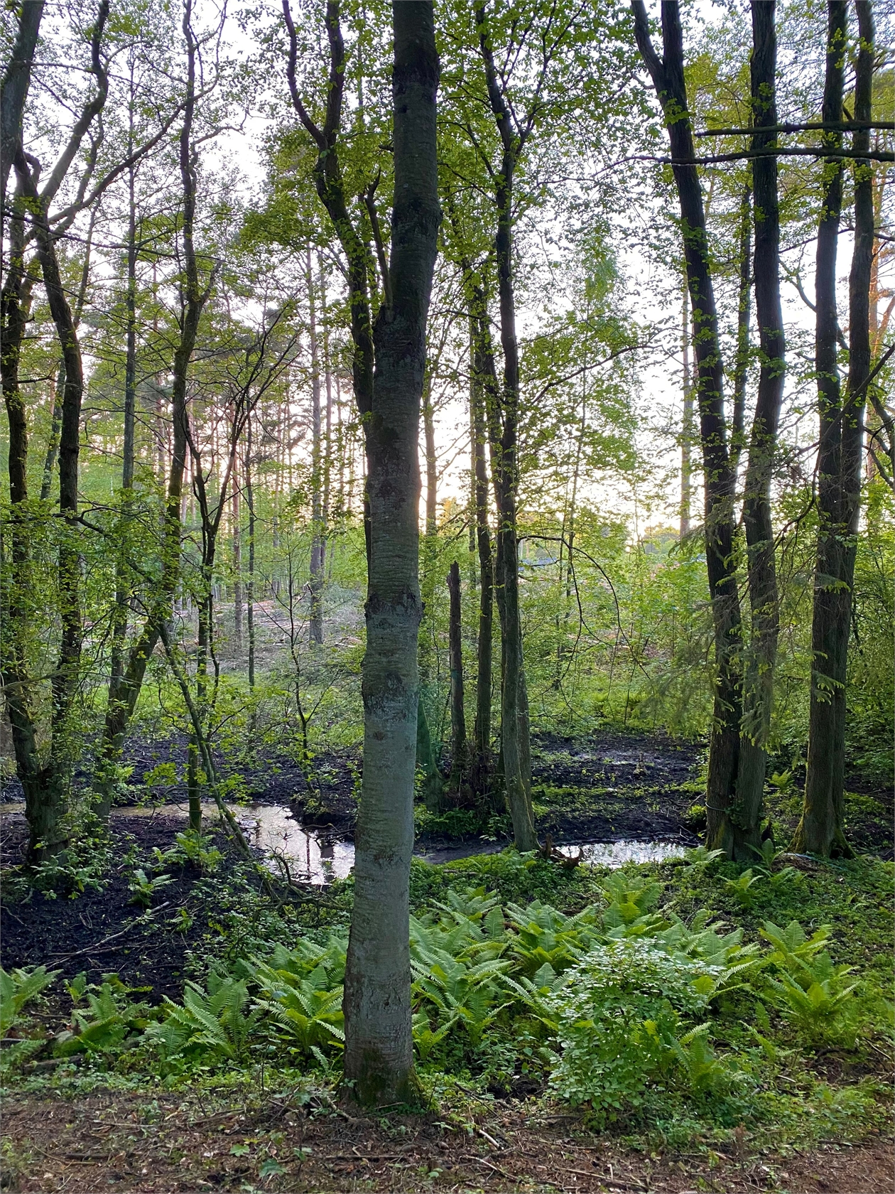 Rödde Mellanväg 2-14 – bild 38