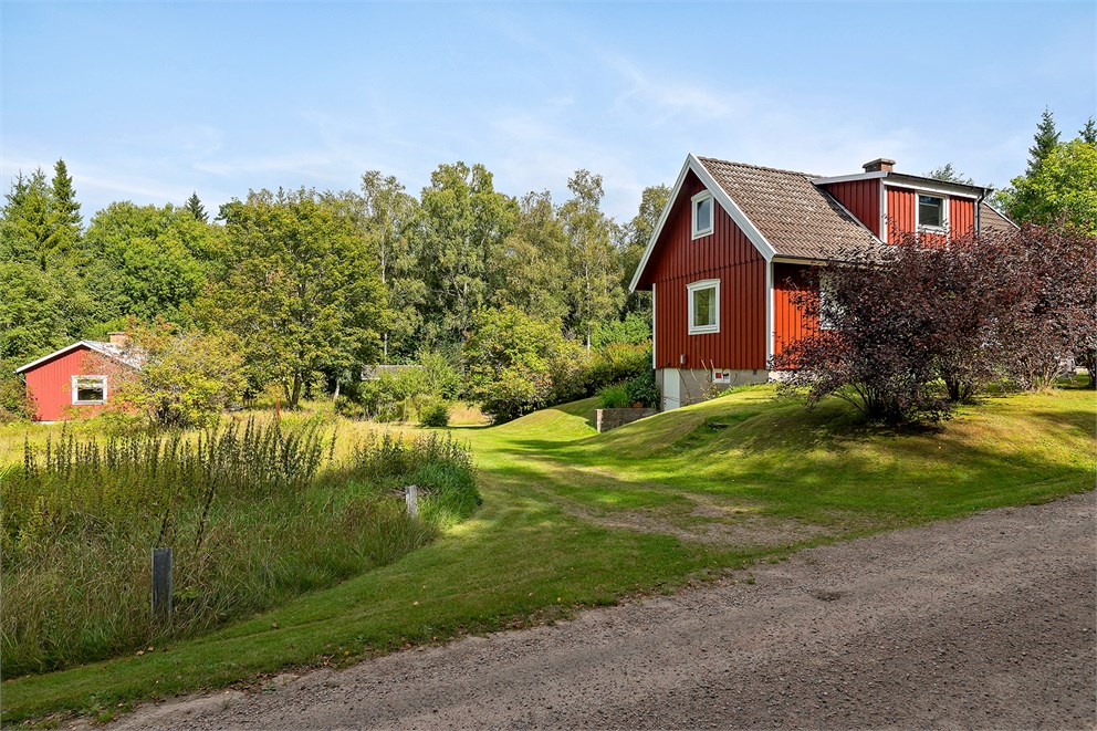 Holma 1484