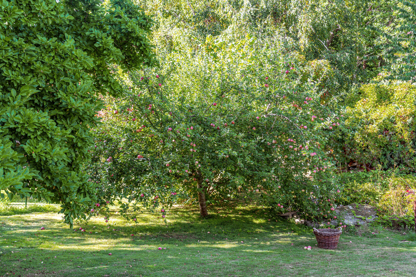 Torekullevägen 24 – bild 7
