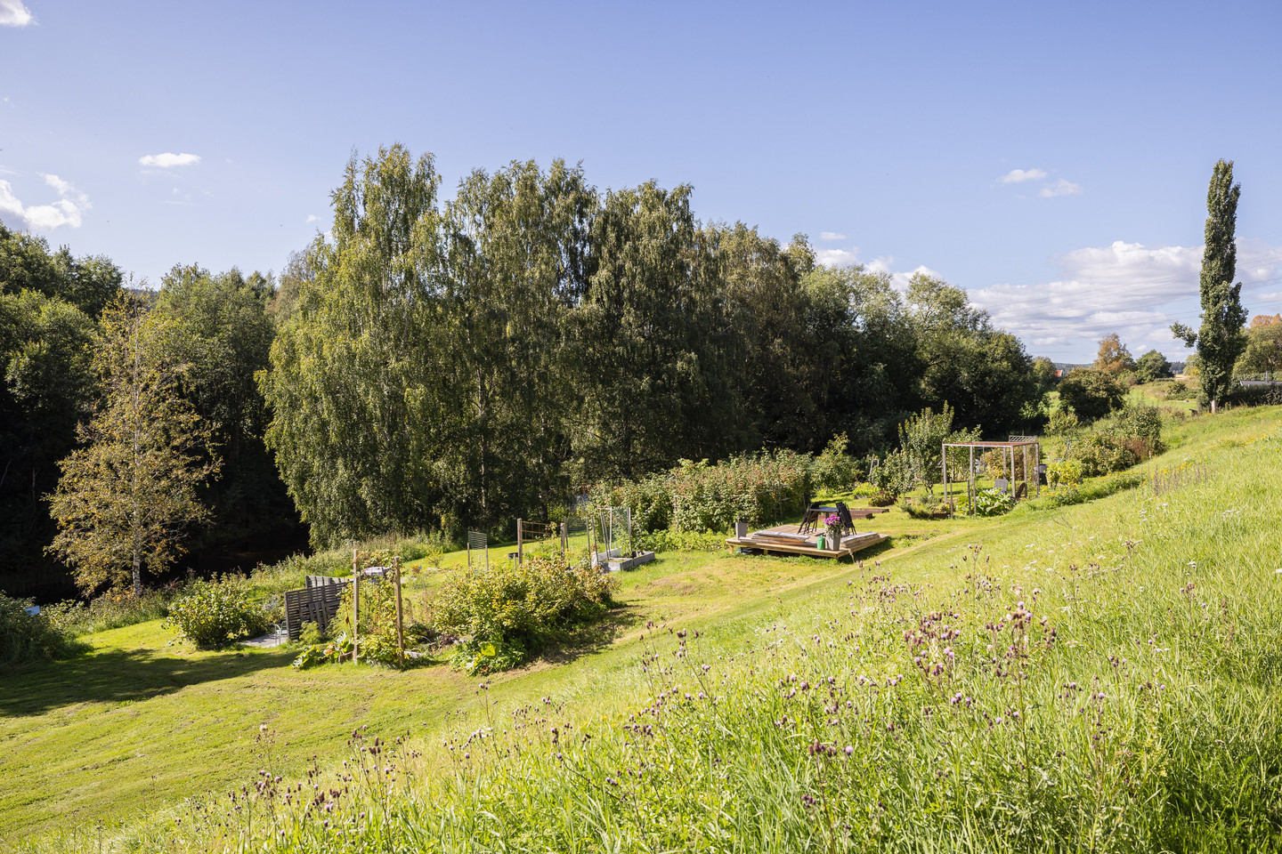 tors 24/9 – bild 35