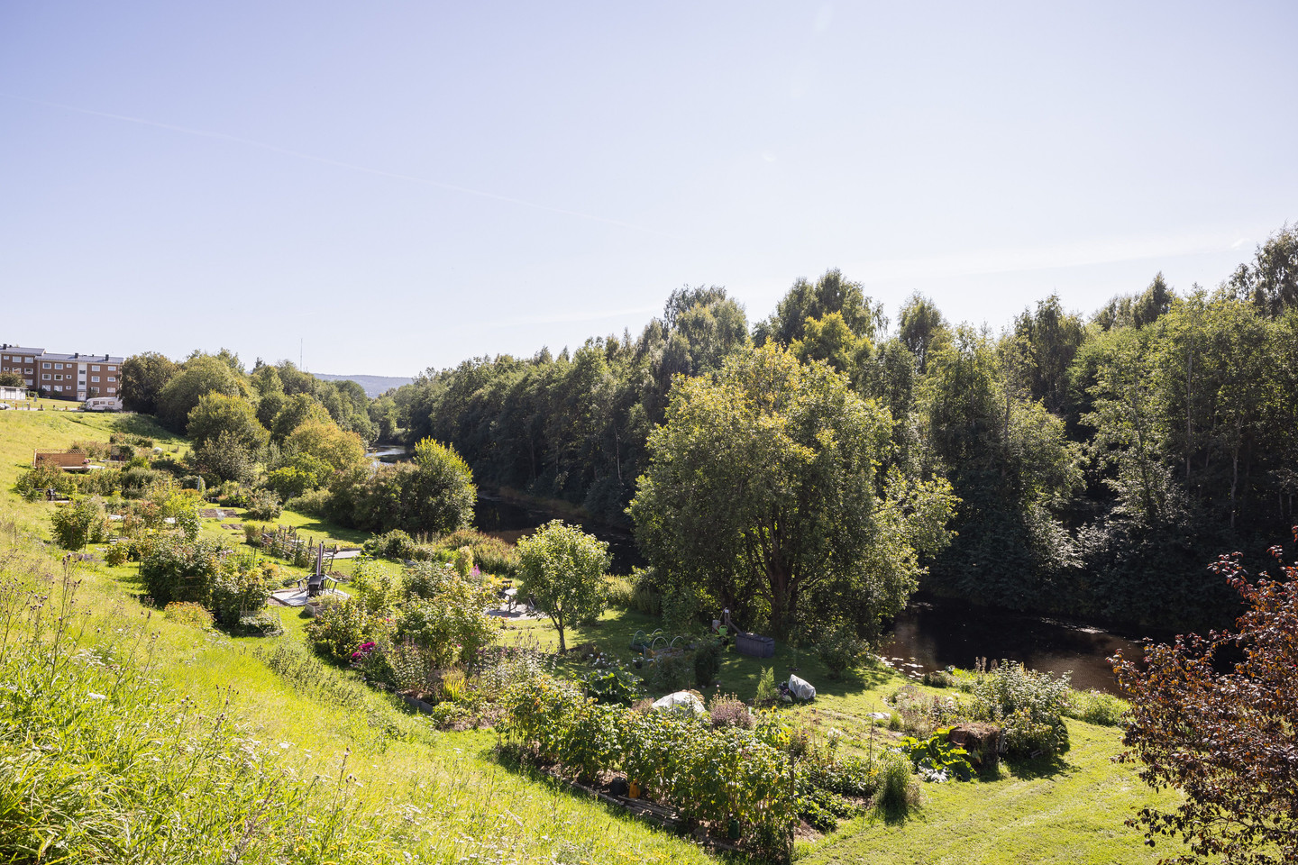 tors 24/9 – bild 34