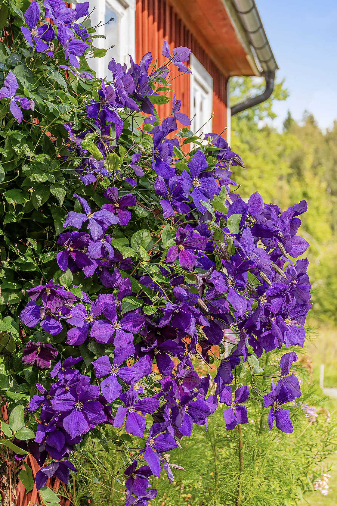 På gång – bild 26