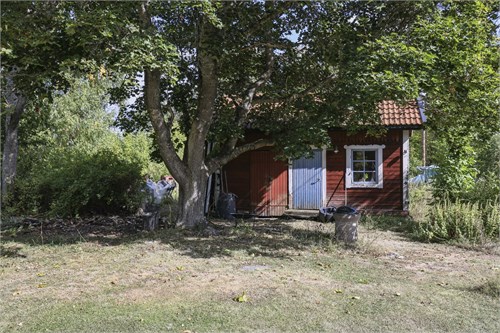 Myra 128