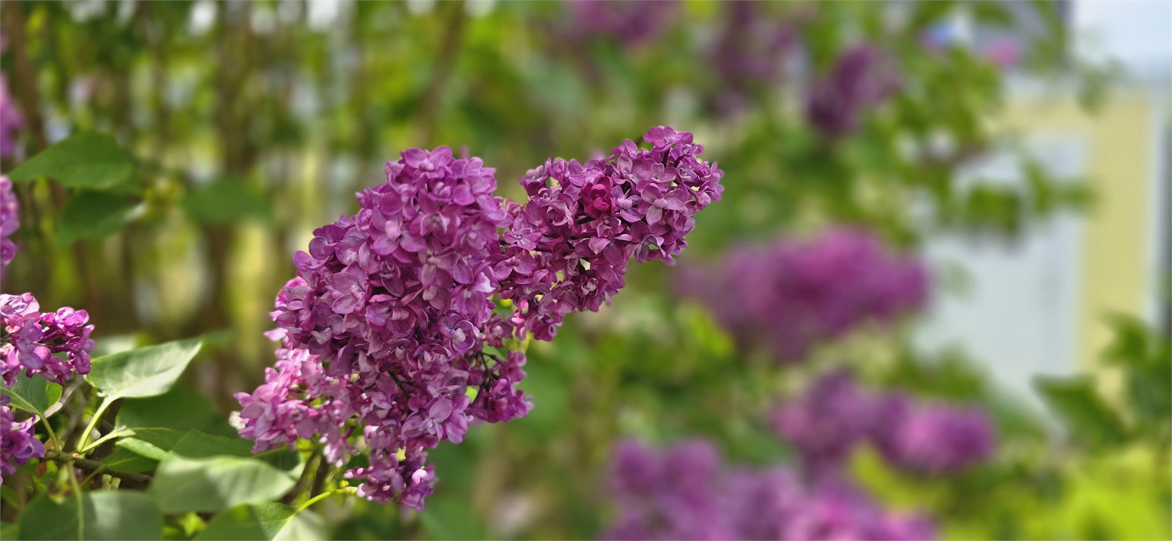 Floravägen 17A – bild 40
