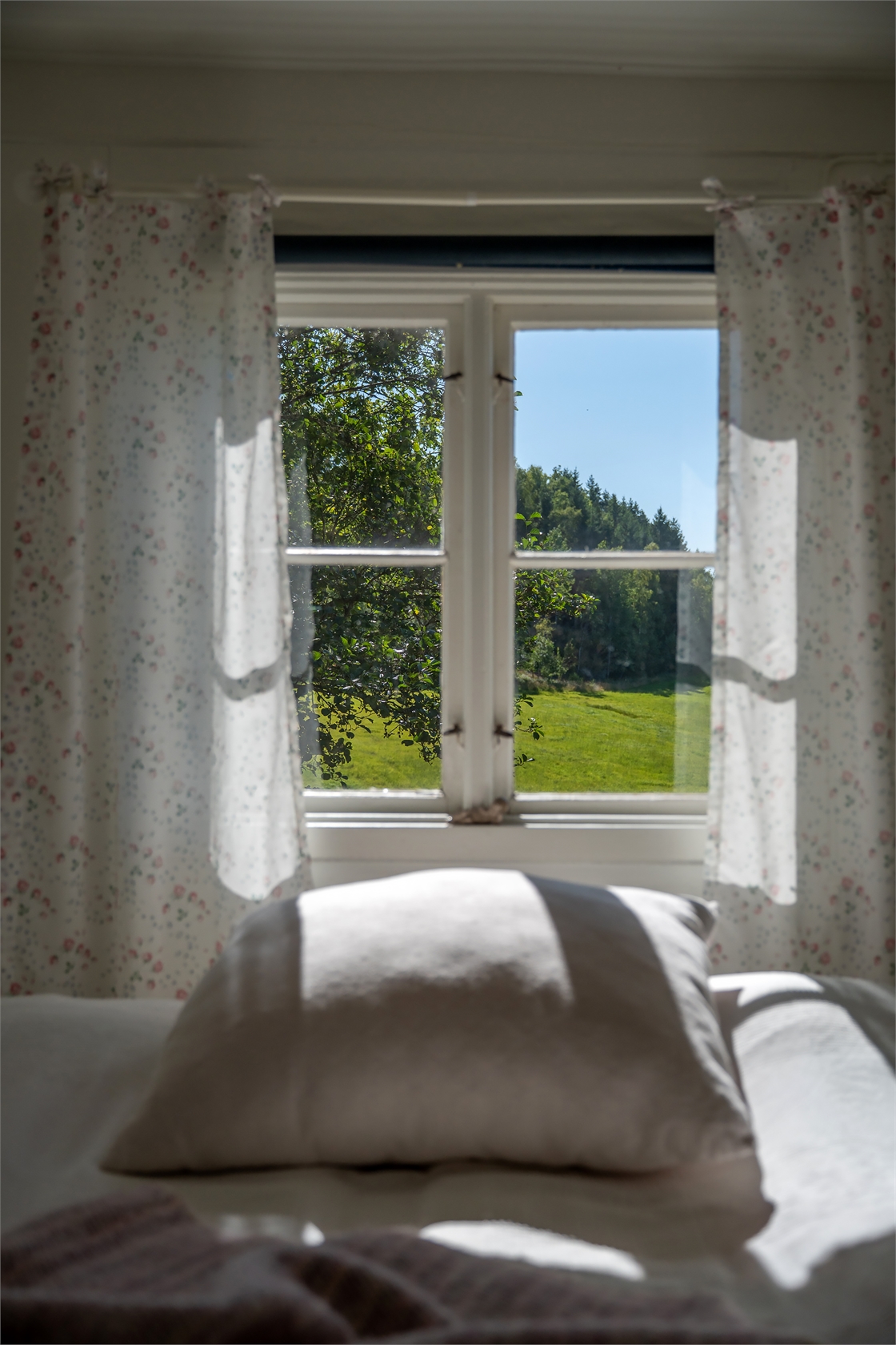 Bäck 119 – bild 31