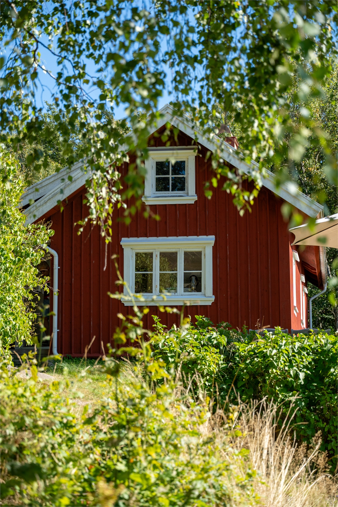 Bäck 119 – bild 8