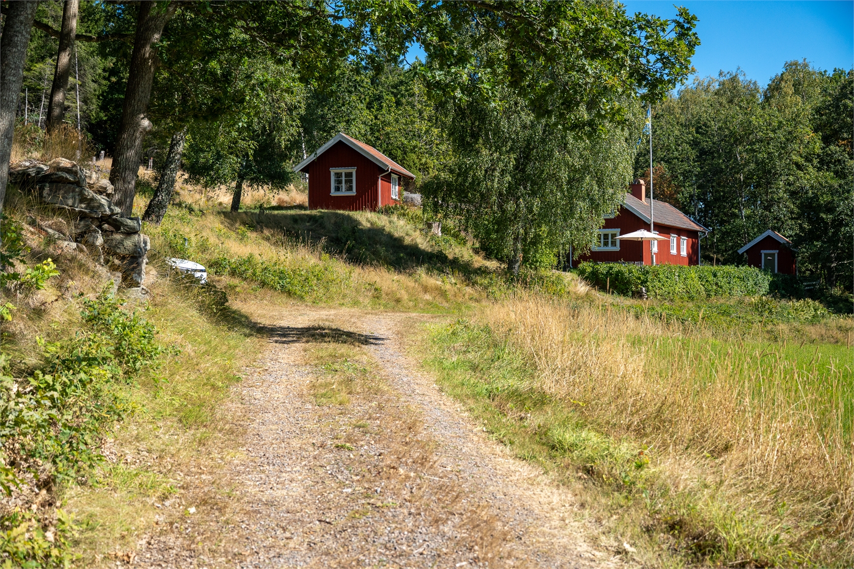 Bäck 119 – bild 3