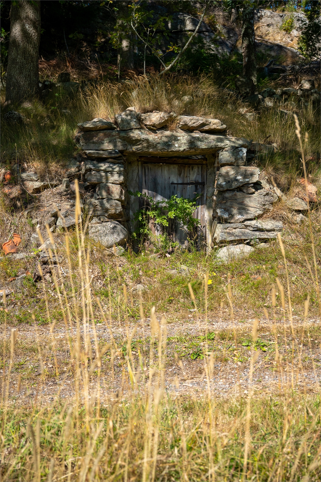 Bäck 119 – bild 44