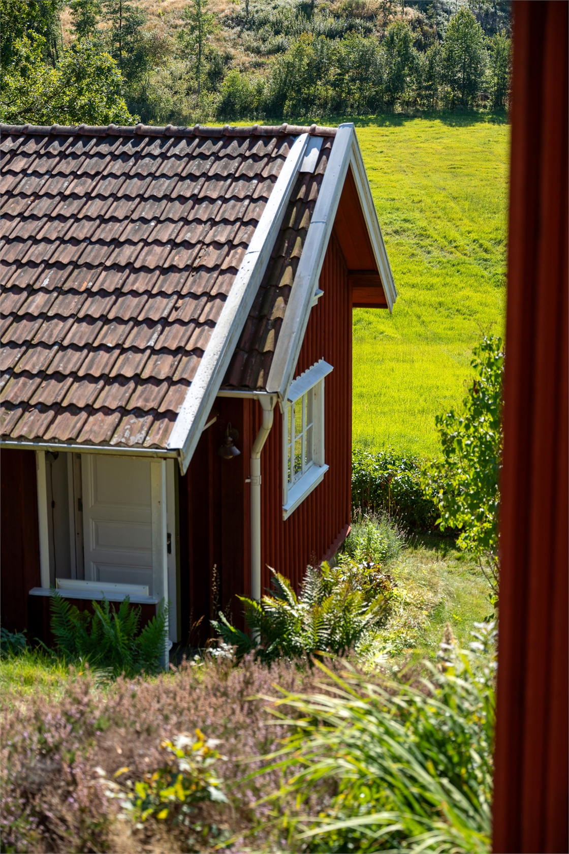 Bäck 119 – bild 42