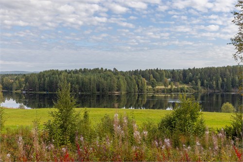 Västängsvägen 87