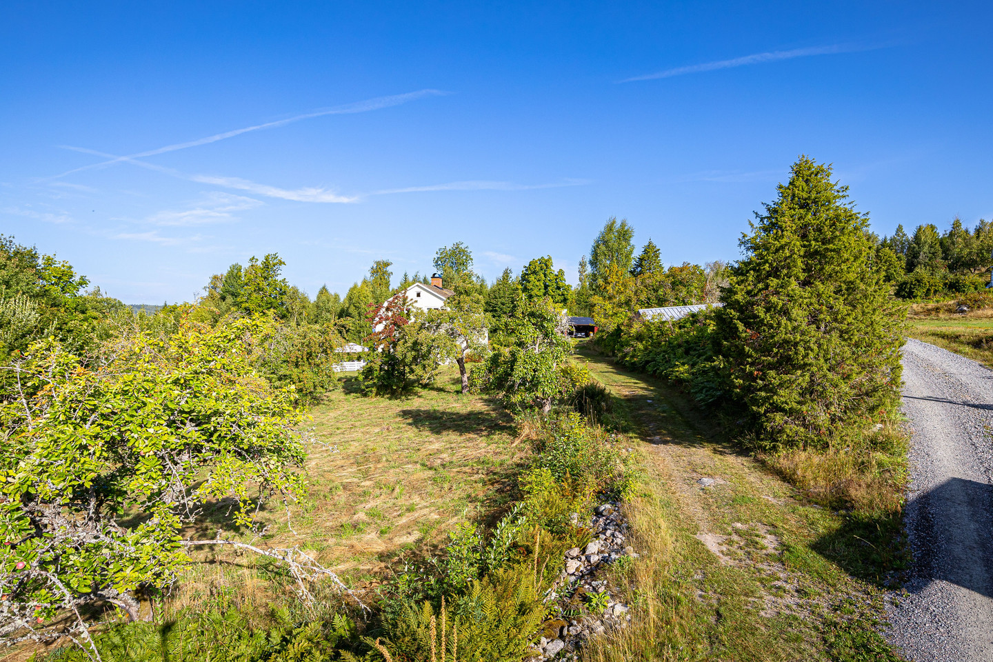 tors 24/9 – bild 38