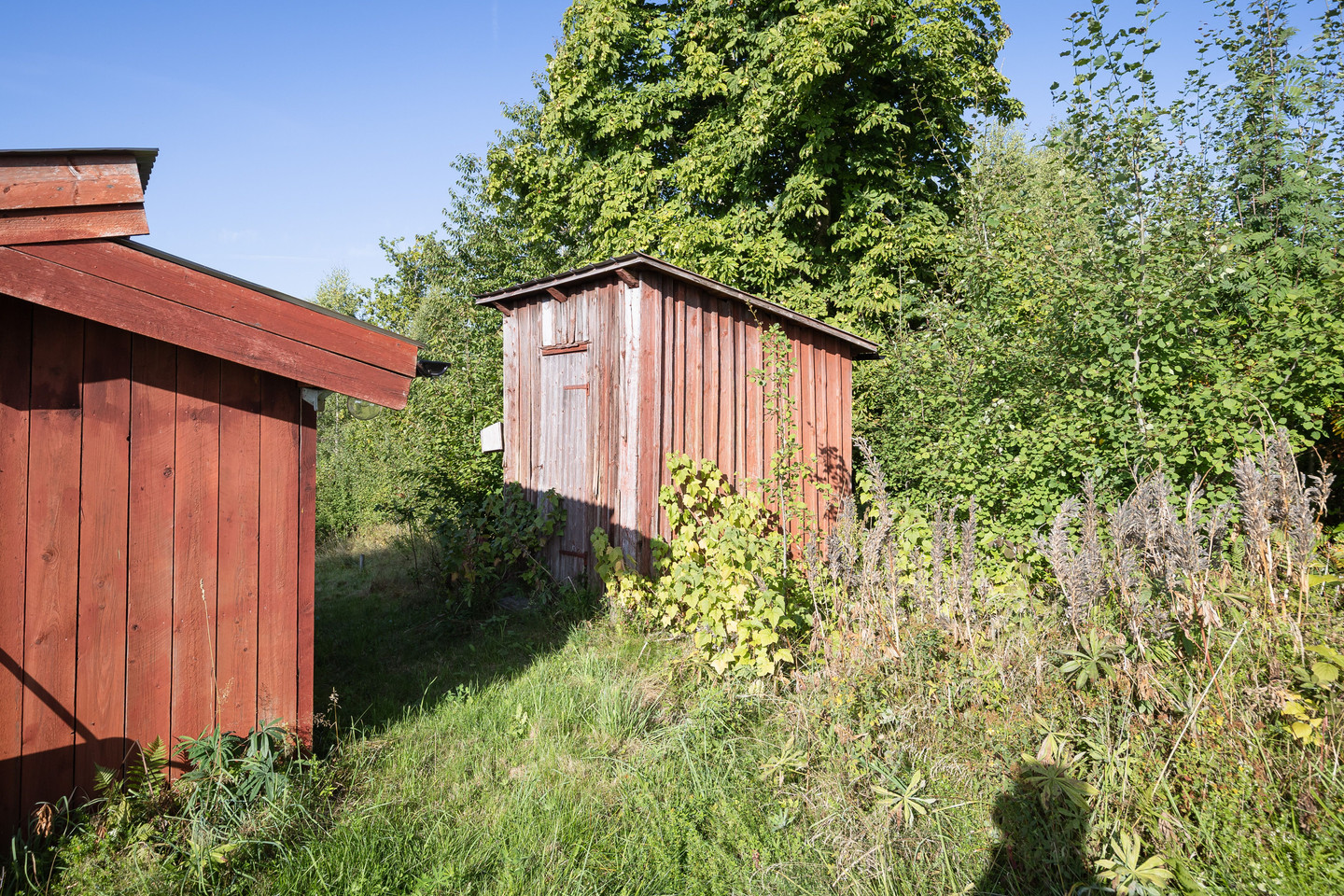 tors 24/9 – bild 34