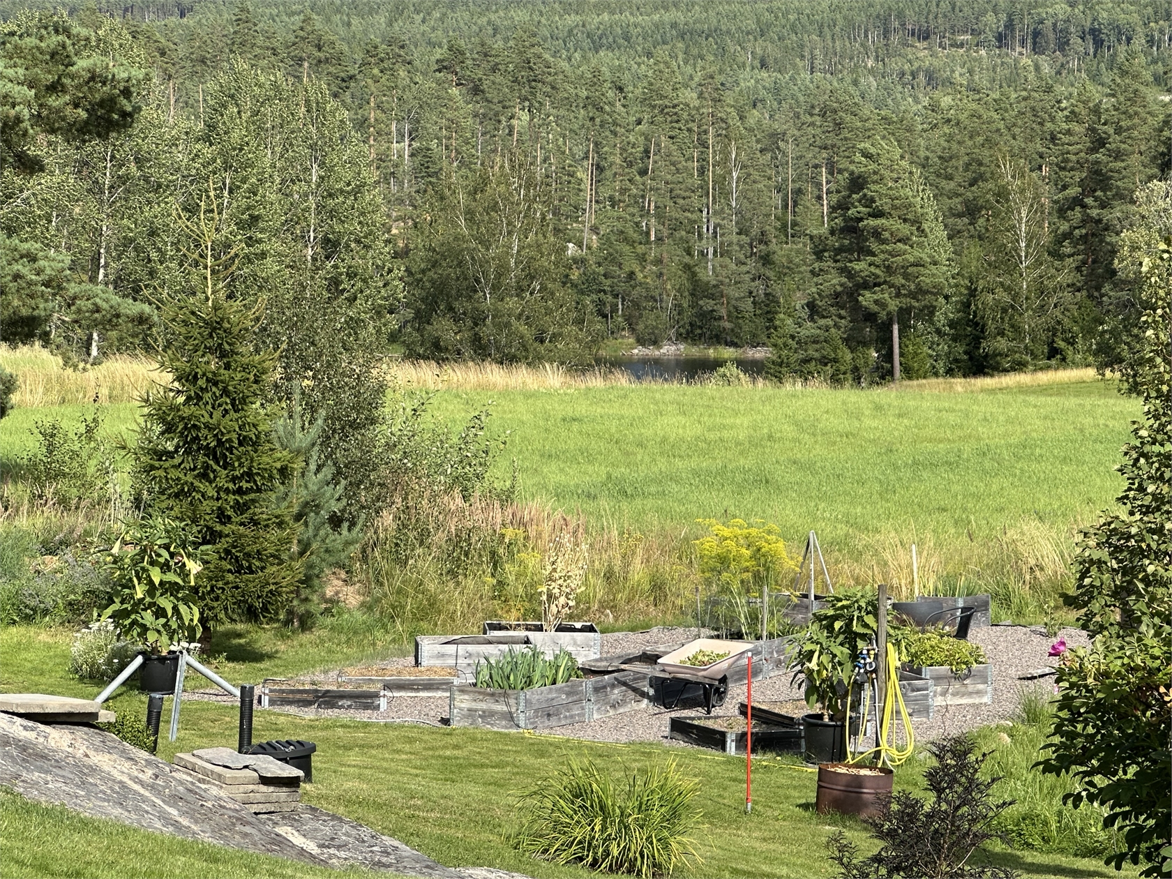 Bocklerud Åsen 1 – bild 7