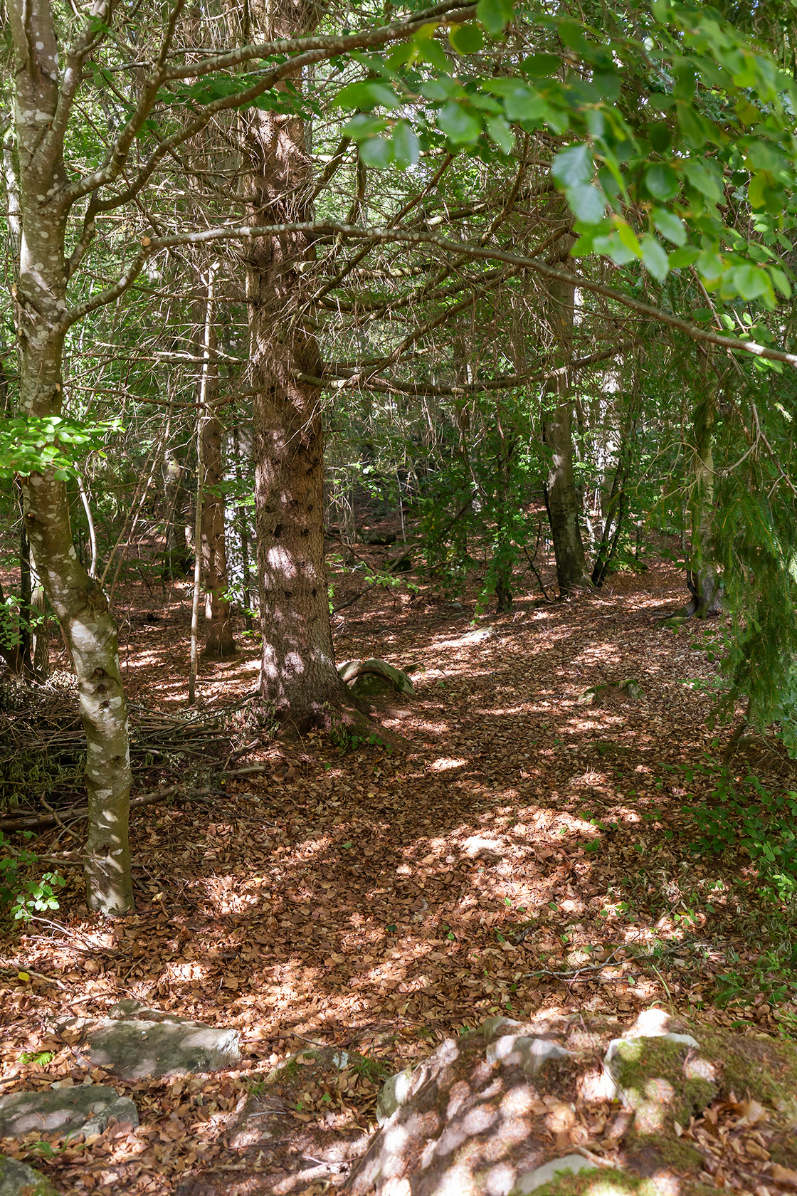Gammalstorp Näktergalsvägen 11 – bild 22