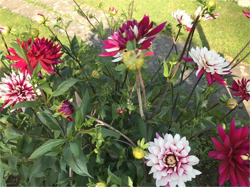 Bild 5