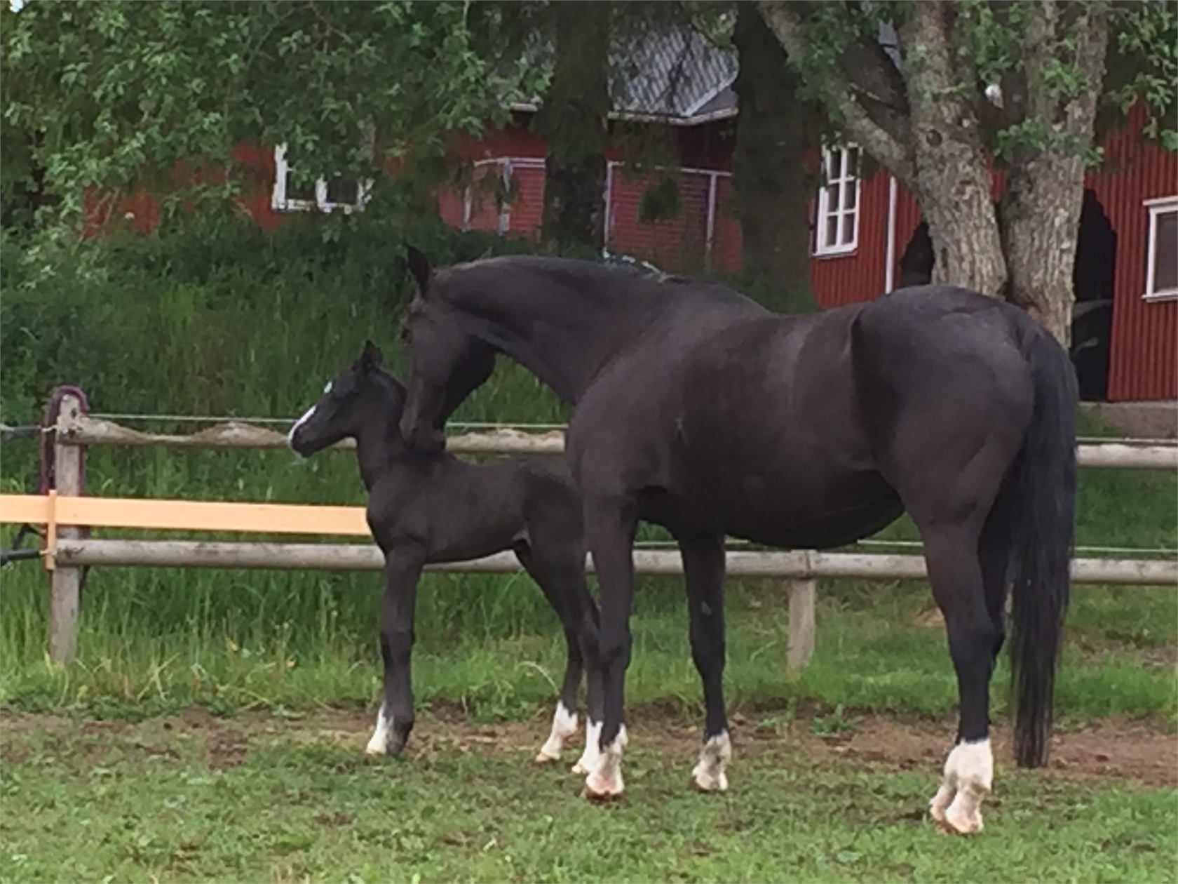 Ängatorp gård 4 – bild 68