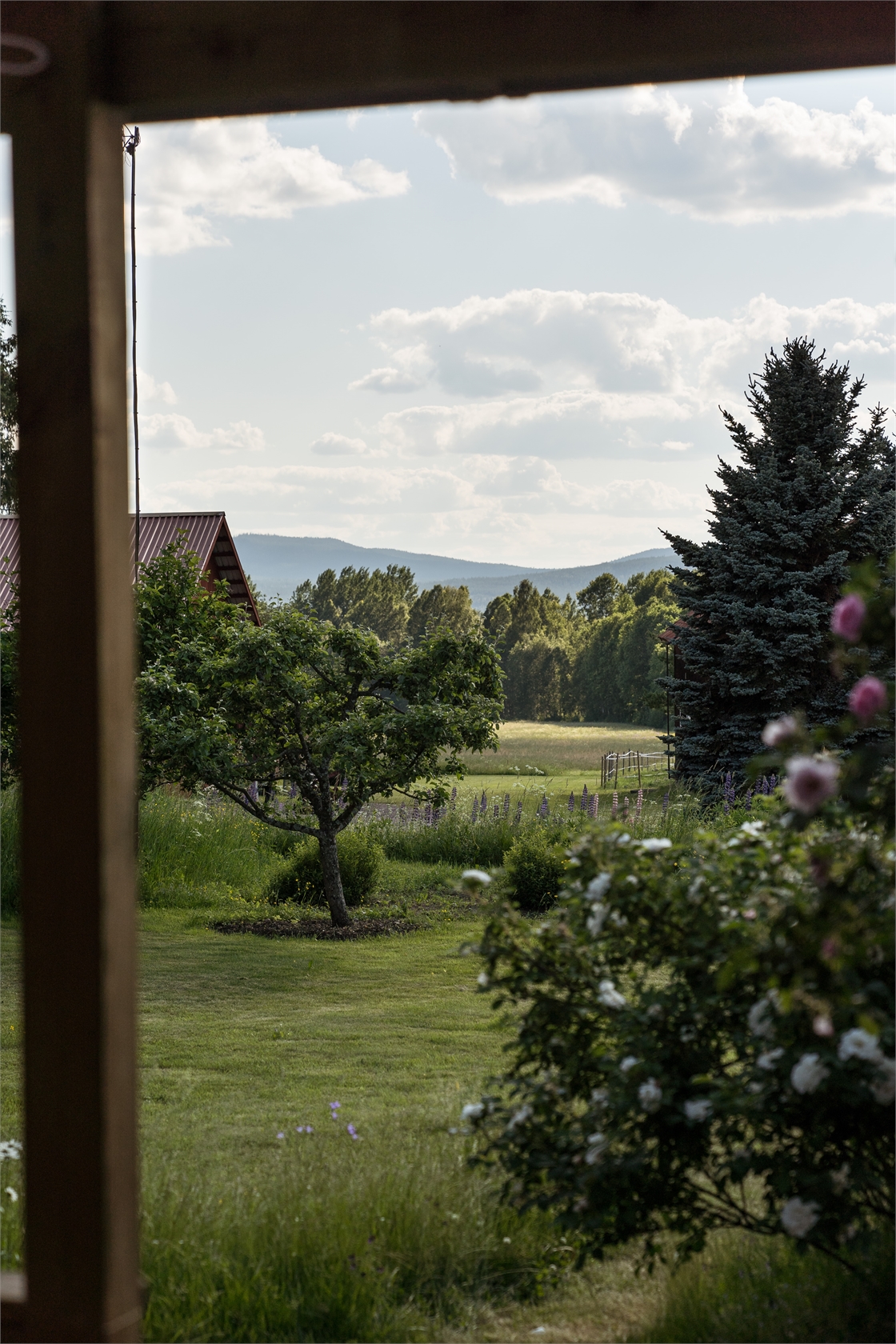 På gång – bild 25