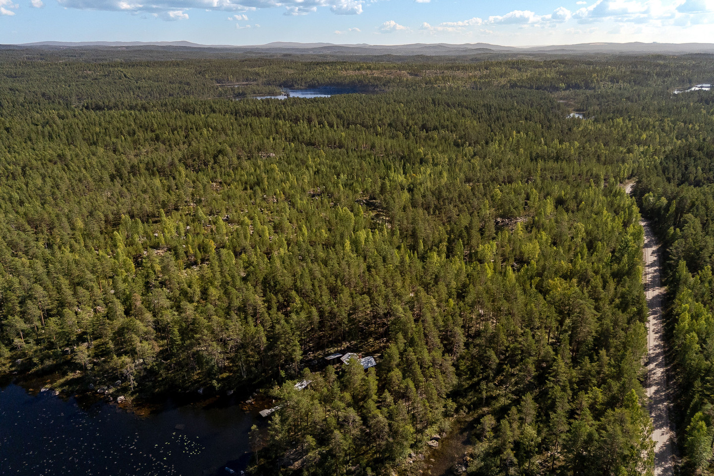 Skog vid Hulen – bild 10