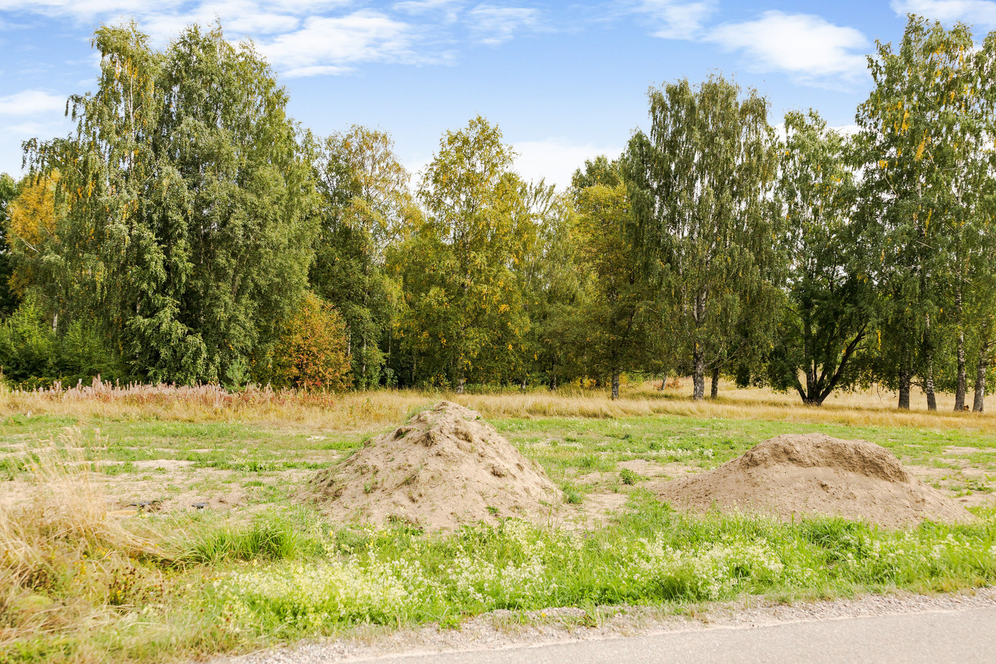 Heden 44:2 – bild 5