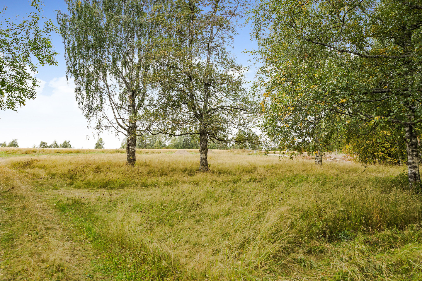 Heden 44:2 – bild 14