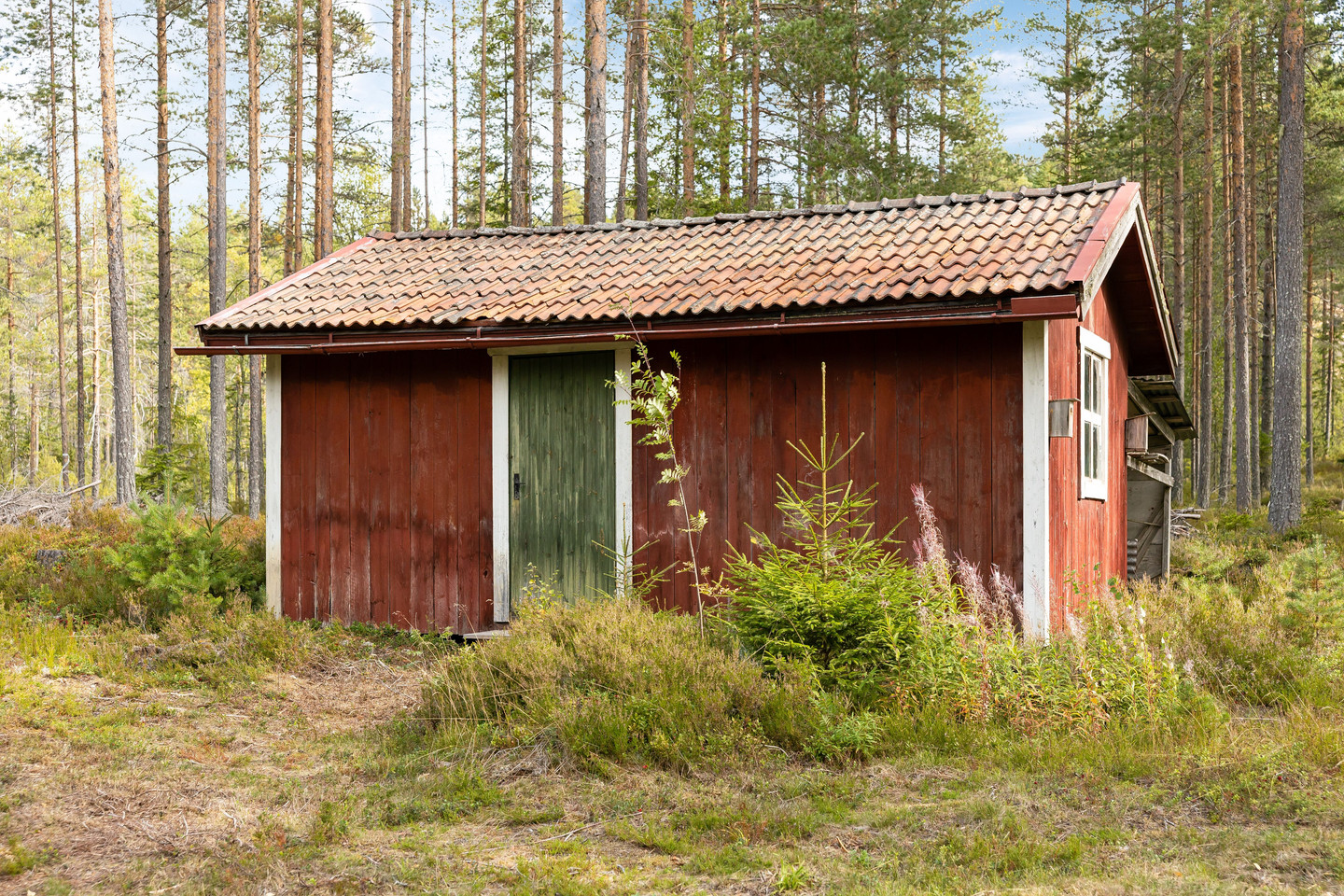 Lång 75 – bild 17