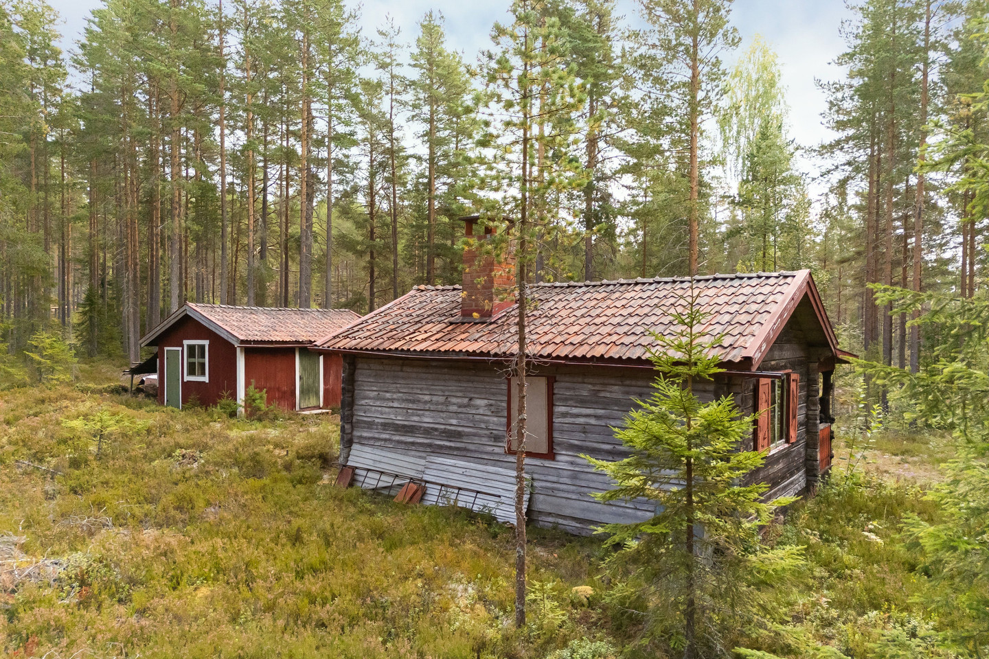 Lång 75 – bild 20