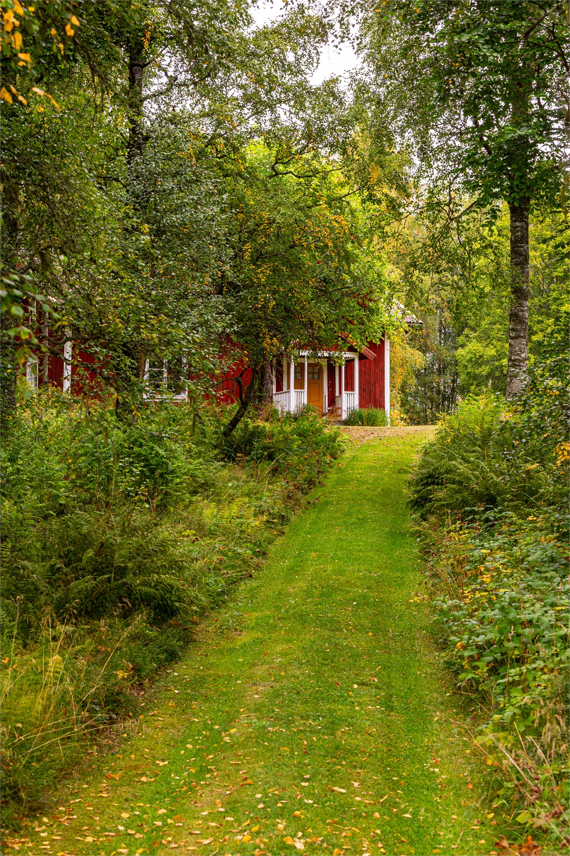 Stora Havsjön 10 – bild 8