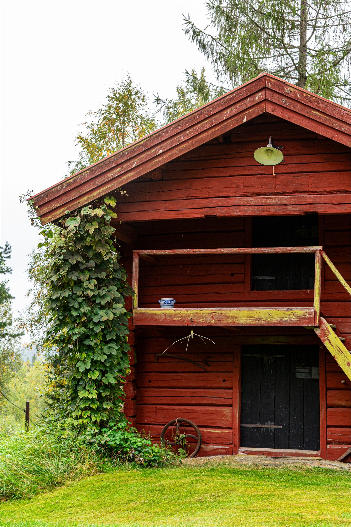 Stora Havsjön 10 – bild 34
