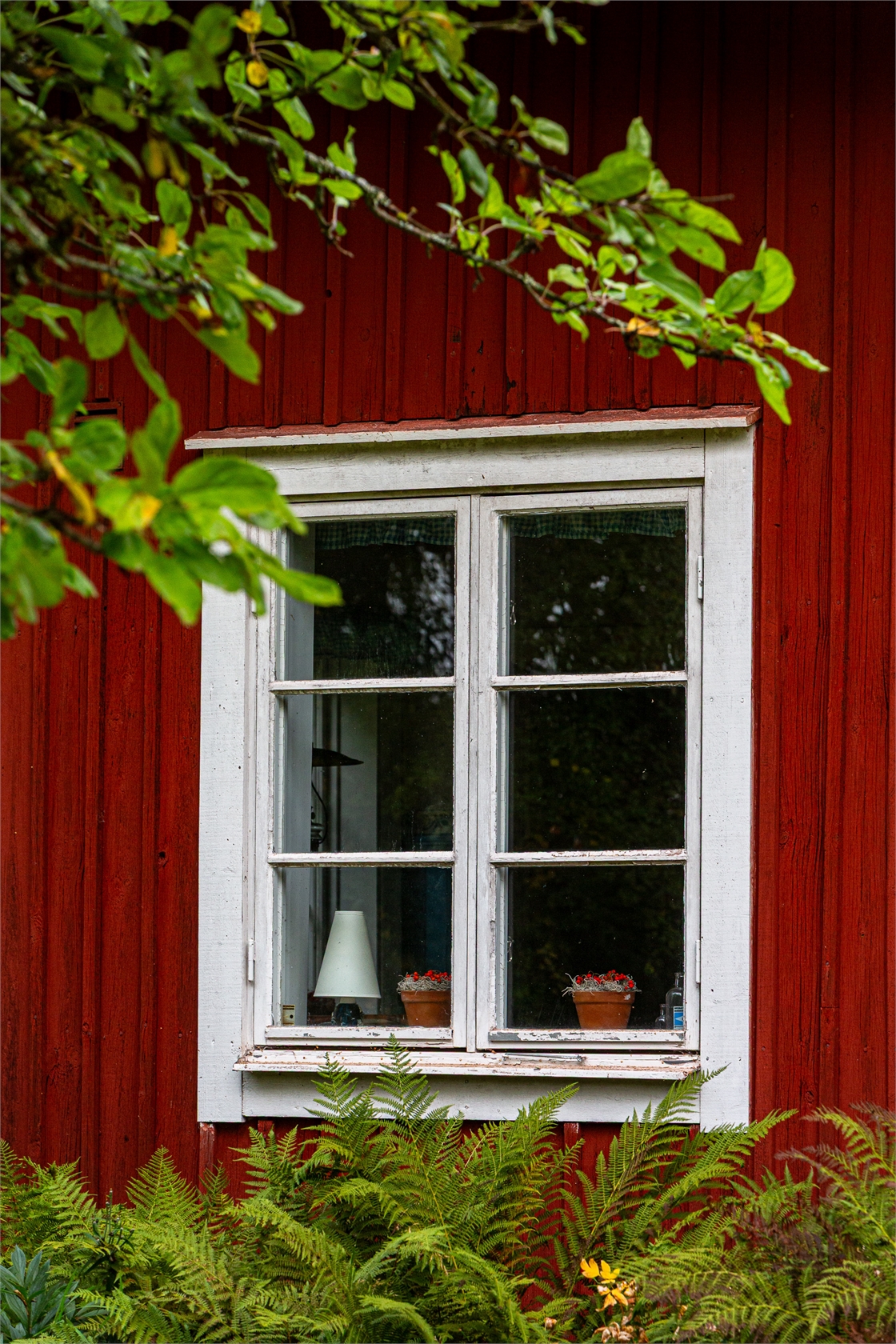 Stora Havsjön 10 – bild 3