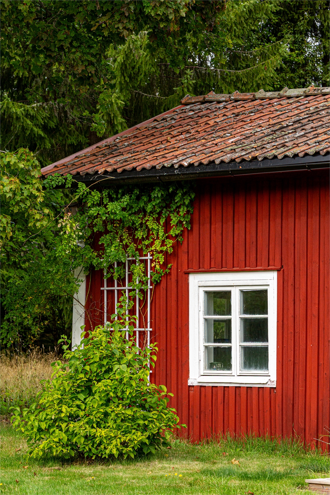 Fåsjöhyttan Hultamossen 113 – bild 9