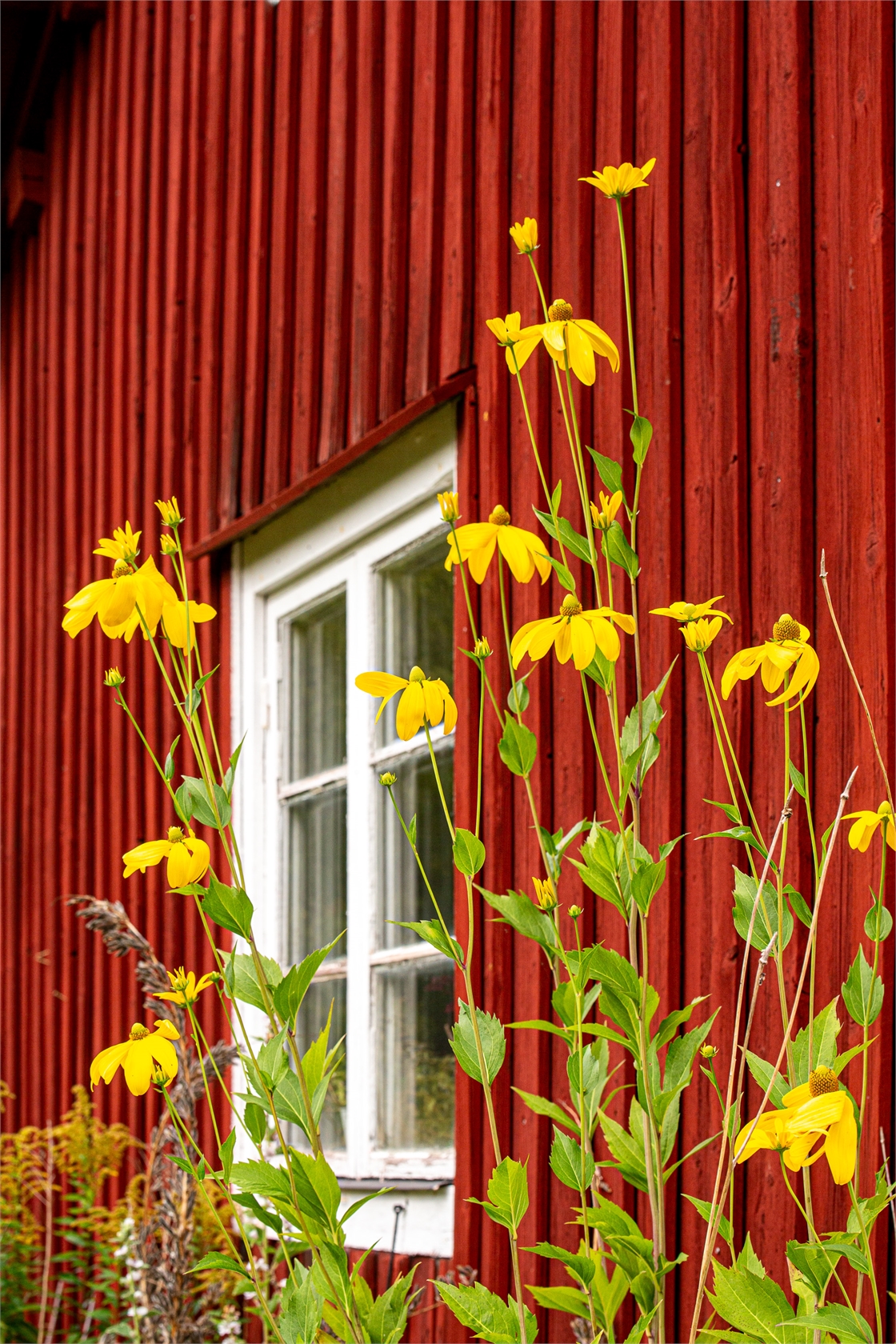 Fåsjöhyttan Hultamossen 113 – bild 8