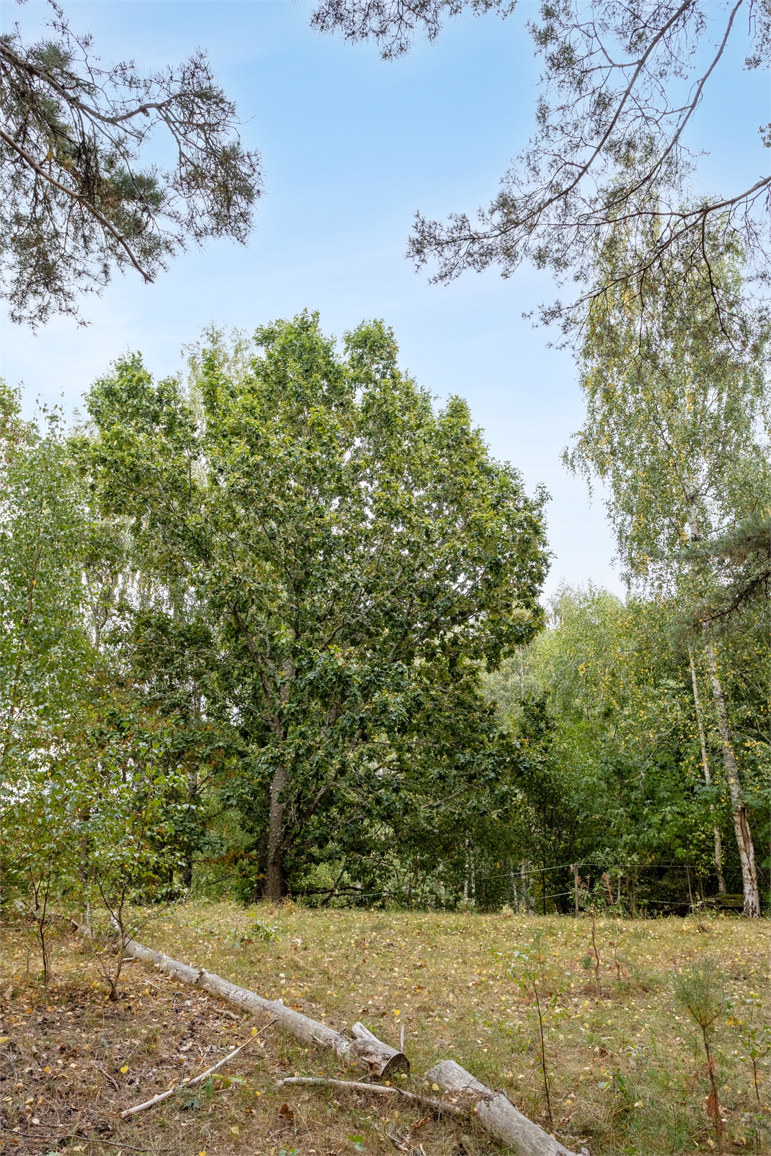 På gång – bild 3