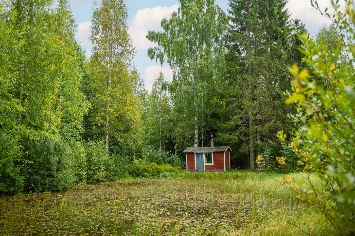 sön 11/10 – bild 7