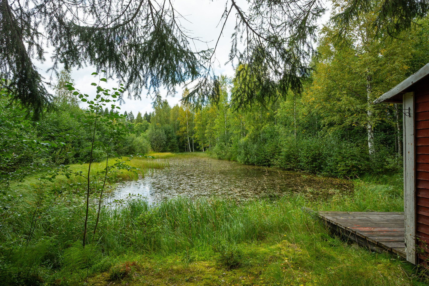 sön 11/10 – bild 8