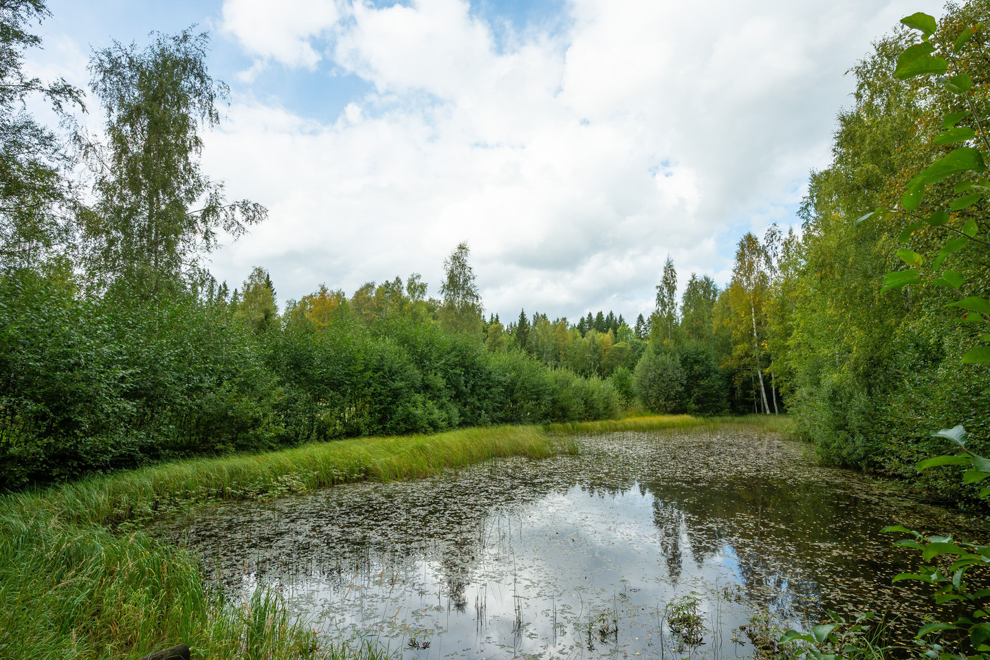 sön 11/10 – bild 9