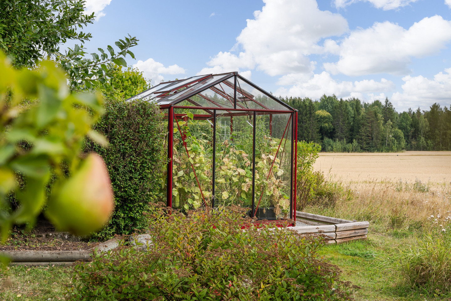 På gång – bild 49