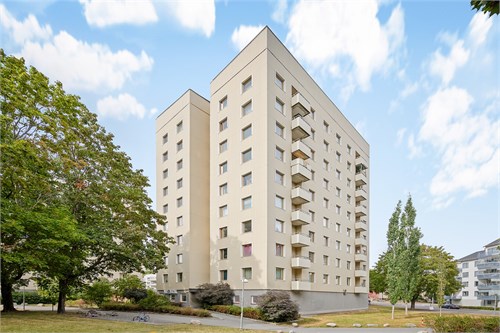 Multrågatan 19