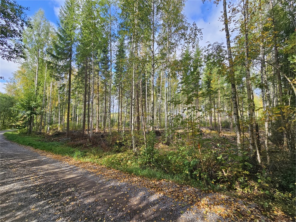 Backa Myrbergsvägen 11