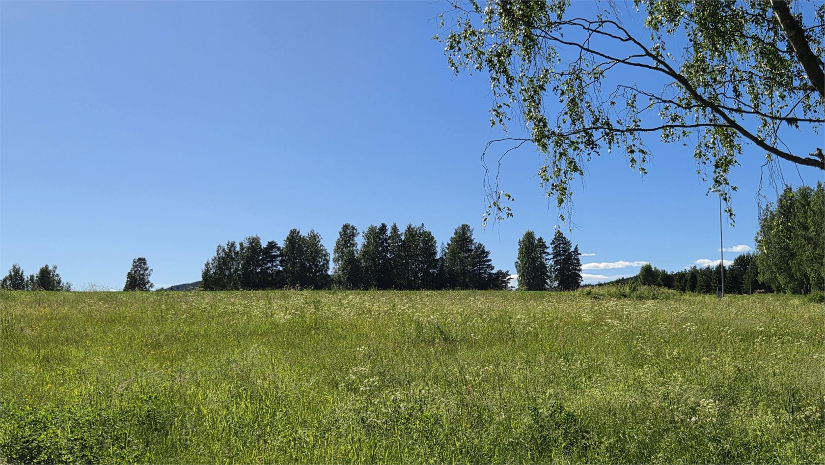 Heden 44:2 – bild 17