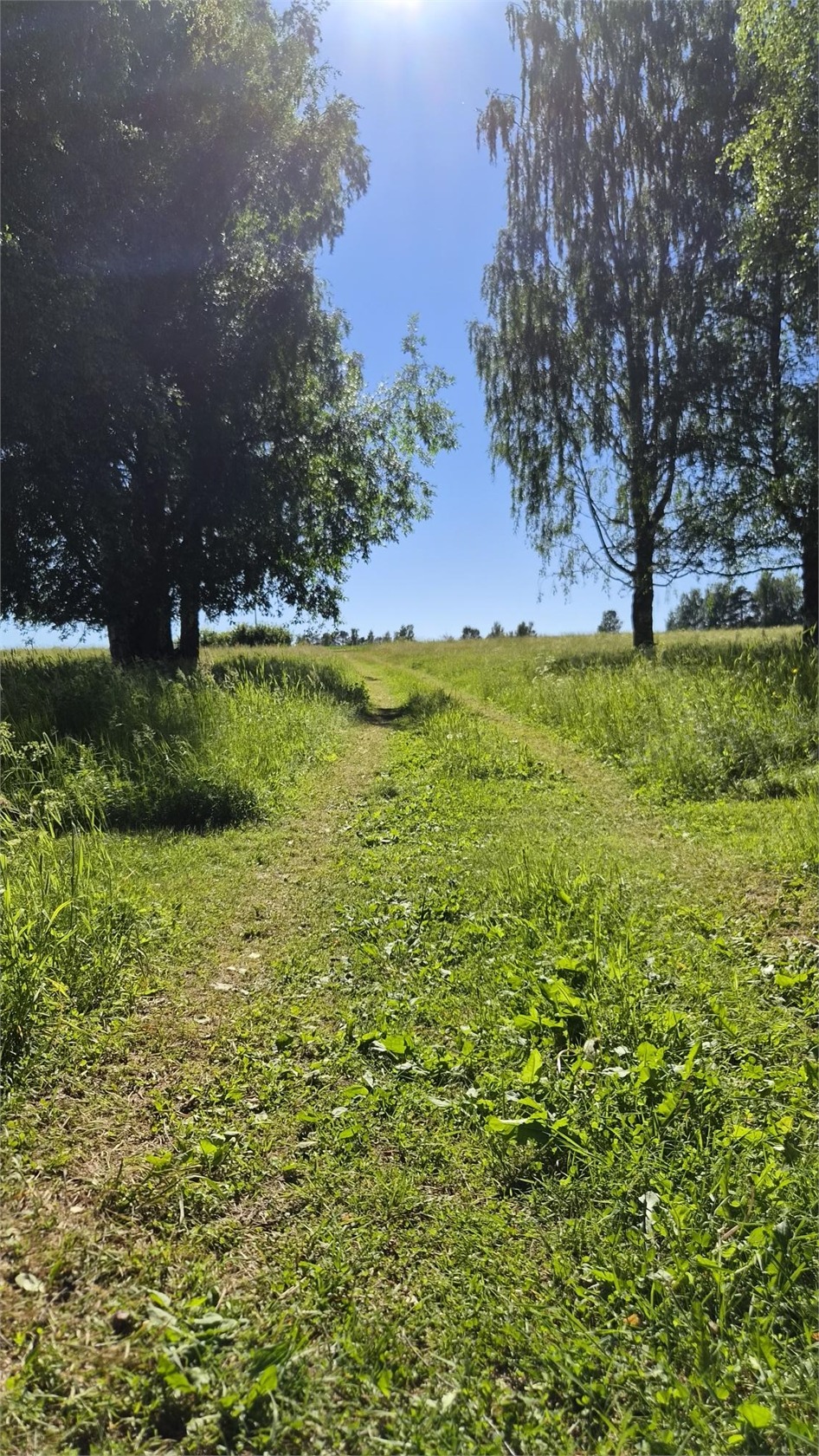 Heden 44:2 – bild 19