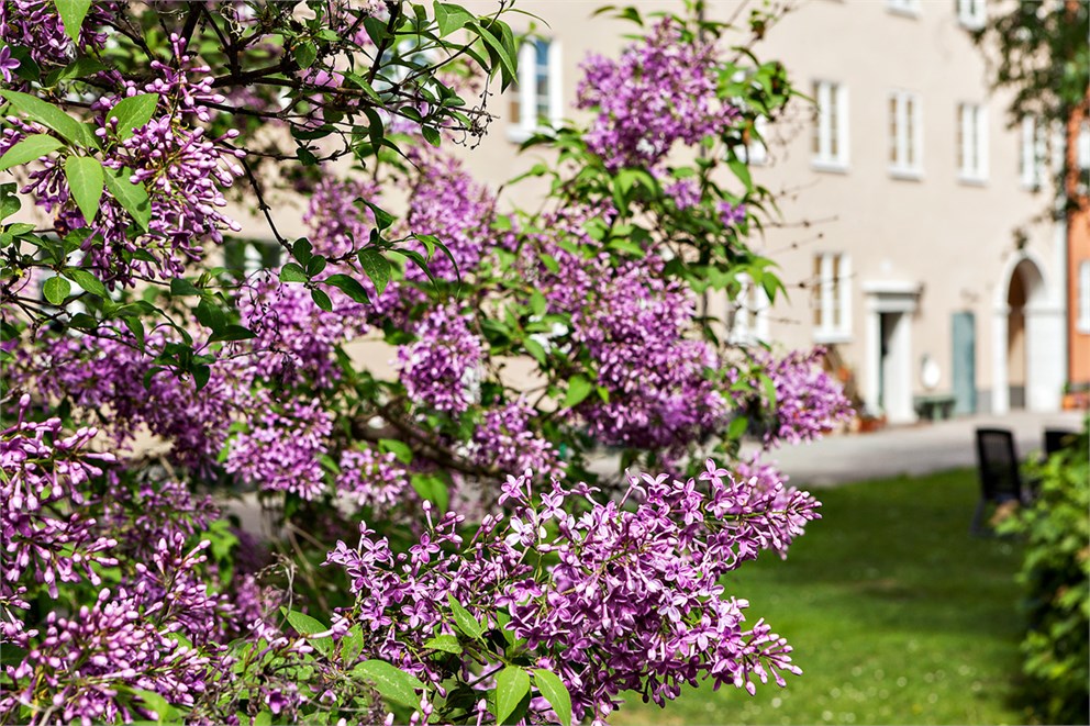 Dalgårdsvägen 10